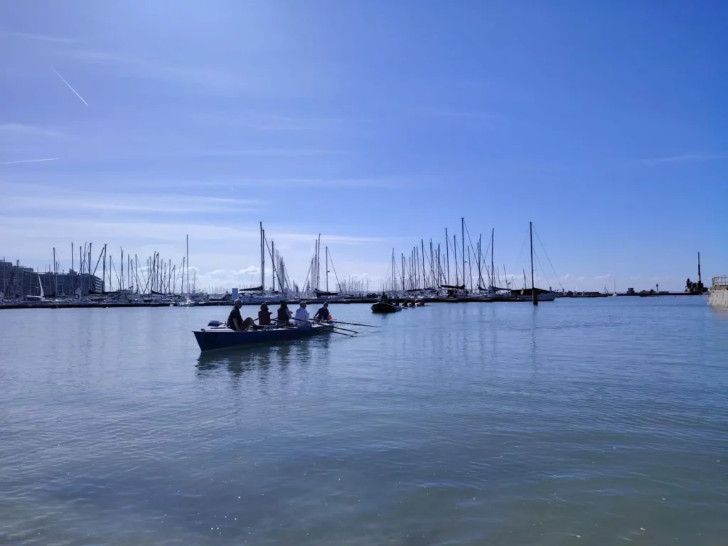 société havraise aviron le havre club activités mer